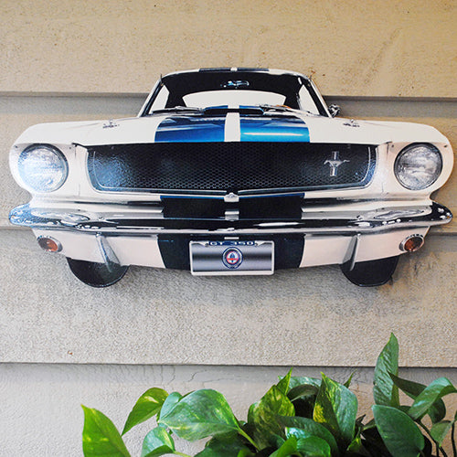 Carroll Shelby GT350 Front Bumper Metal Sign, 20-Gauge Powder Coated USA  Steel, 2 sizes, Produced in the USA