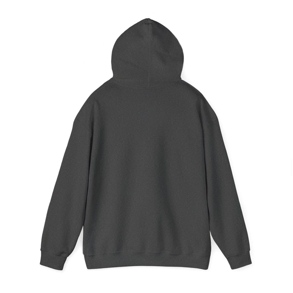 C4 Corvette Heavy Blend Kapuzenpullover, perfekt für kühle, frische Tage, DE