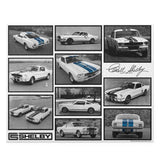 Shelby GT350 Puzzle Set 500 pcs.