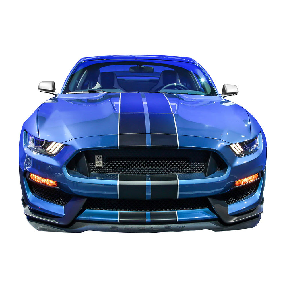 Shelby GT350R Mustang Personalized, Made in the USA 26 x 20 inch Metal Sign